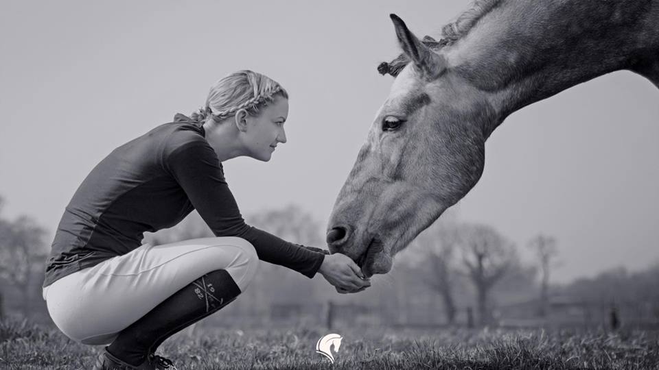 Horsia – Service de crémation pour chevaux